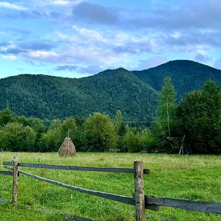 Nyaraló гармонія