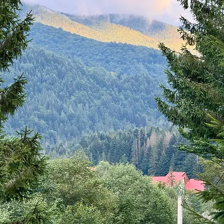 гармонія *